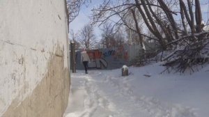 в лесу ЧАСТЬ 65