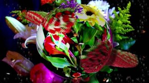 Футажи! Футаж Букеты роз К 2 от Киностудии Мудрого Кота Тимофея!!!