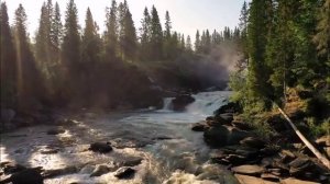 ЖИВЫЕ МЫСЛЕОБРАЗЫ  О РУСИ -1