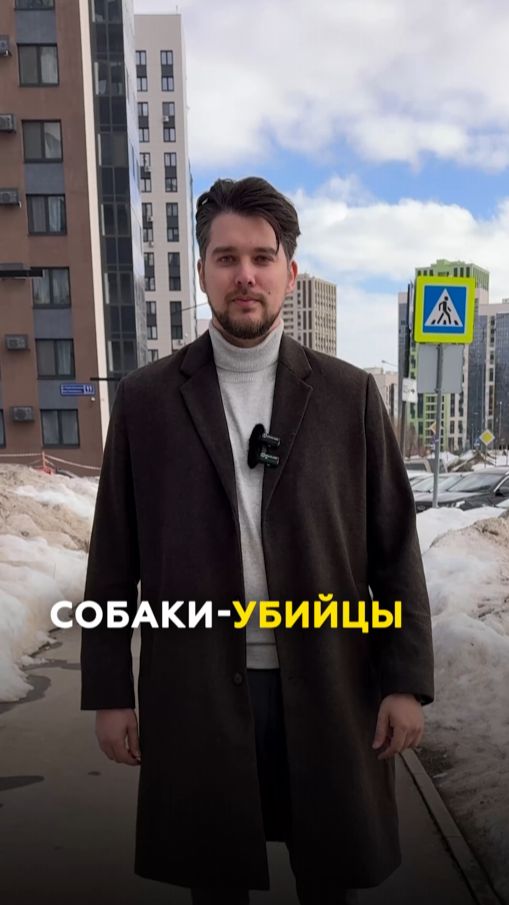 Трагедия в Казани: собака загрызла питомца и покусала детей в ЖК Светлая Долина