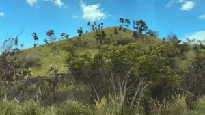 2026_Природа Фиджи_HD