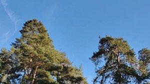 Купи ещё тысячу подписоты станет легче🤣🤣🤣