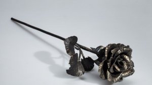 «ЖЕЛЕЗНАЯ РОЗА».  Историю   которую вы запомните.