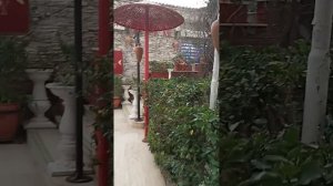 Club Hotel Sera. Территория отеля