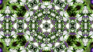 Видеофоны! Видеофон Подснежники 5! Футаж от Киностудии Мудрого Кота Тимофея!