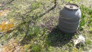 Весна вступила в свои права! Серия 7.