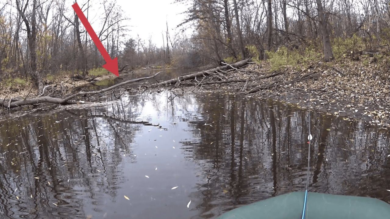 ПРОБРАЛСЯ ЧЕРЕЗ ЛЕСНЫЕ ЗАВАЛЫ! Рыбалка на спиннинг