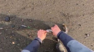 Рыбалка на Охотском море. Навага клюет как из бочки!