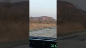 Бесплатные работы