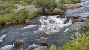 Шум воды и поиск рыбы 2022-07