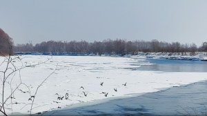 Рыбалка на реке Хор, обстановка на 21 марта 2026 г.