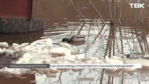 Паводки начались в Красноярске