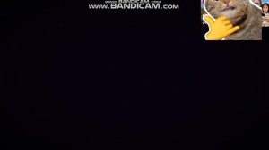 эдит серое крыло кв