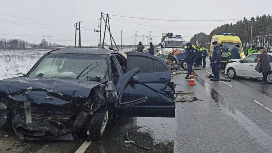 Аварии и ДТП на дорогах ТОРОПЫГИ за рулем