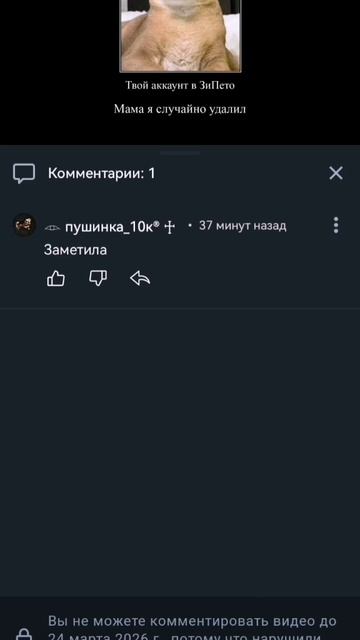 Омг меня пушинка10к заметила 😶😶😶😶😶 #чикенган #пушинка10к