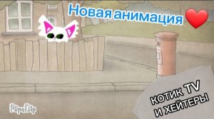 КОТИК TV и хейтеры
