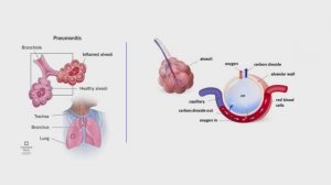 Электронные сигареты - что реально происходит с организмом подростка