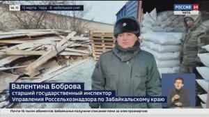 Россельхознадзор проводит мониторинг кормов для животных в Забайкалье