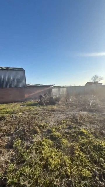 Колузаево , береговая