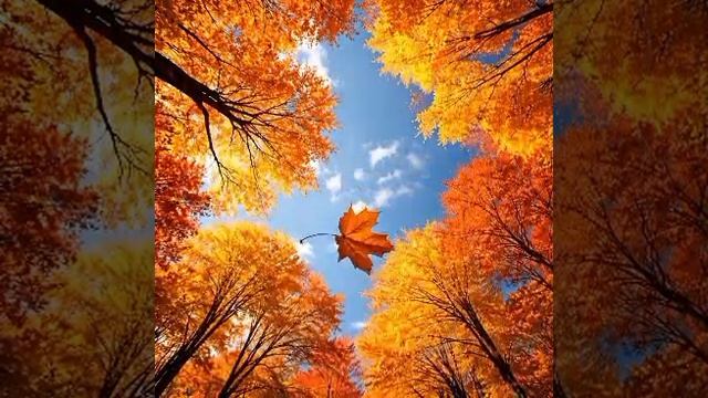 Под музыку Вивальди