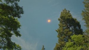 Бамблби падает на Землю - ＂Бамблби＂ - отрывок из фильма