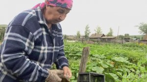 ЖИВУ В РАЗВАЛЮХЕ, РАЗВЕ МОЖНО ТАК ДЕЛАТЬ?