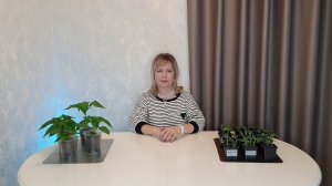 КАК НЕ ПОГУБИТЬ РАССАДУ. ОСТОРОЖНО С СОВЕТАМИ ИЗ ИНТЕРНЕТА!