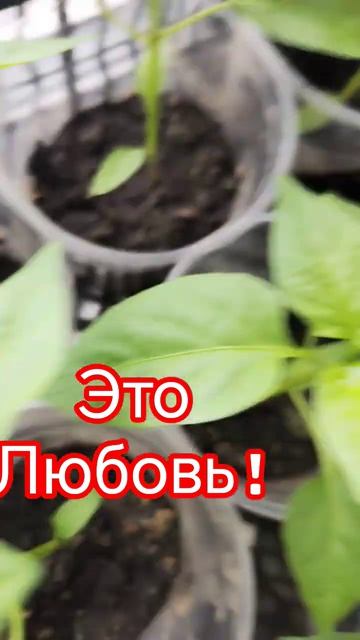 Когда пришла весна!