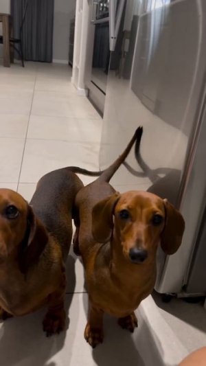 Отменное музыкальное сопровождение 😁👍))