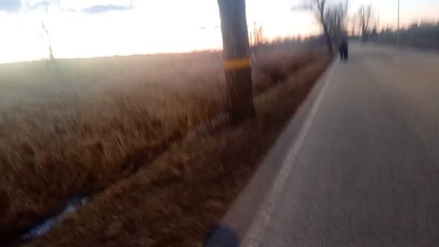 дгш 10 сезон 2 серия: возвращение прайма