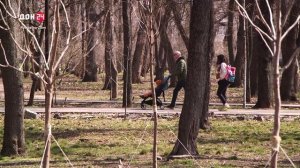 Весна наступает