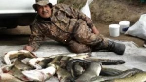 Путешествие по реке