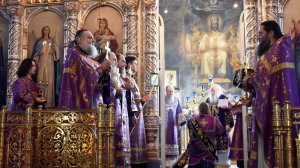 Небо так близко!