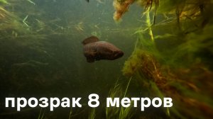 Один день ПОДВОДНОЙ ОХОТЫ на реке Или. Прозрак 8 метров и змееголов!