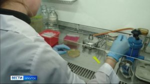 Президентский фонд природы поддержал иркутских специалистов, которые изучают растения