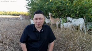 Против пророков