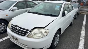 share NZE121-3069635