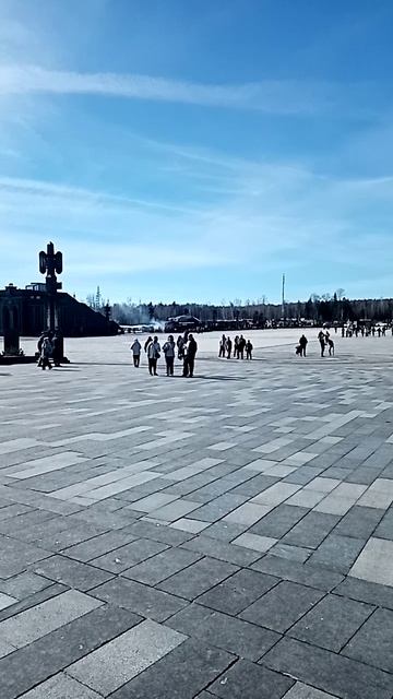 VID_20260322_121114.mp4