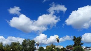 #весна март в Брянске ляпота