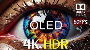 Masterpiece OLED 4K Video | 4K HDR Dolby Vision 60FPS — Тест Телевизоров и Релакс