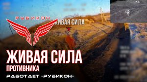 Живая сила противника. По боевикам ВСУ «Рубикон» продолжает вести охоту на всушников