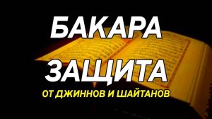 Коран. Сура Бакара / Слушать перед сном / Защита от Джиннов и Шайтанов