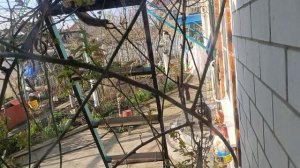 А мы хотим домой