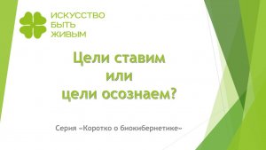 Цели ставим или цели осознаем? Серия Коротко о биокибернетике
