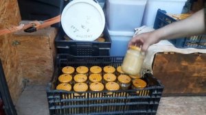 Работы на пасеки после Откачки Мёда!!!