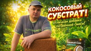 Кокосовый субстрат для растений- как правильно приготовить