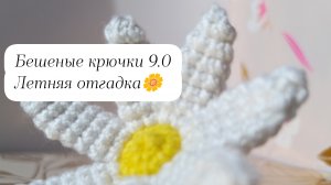 Бешеные крючки 9.0🧶 Летняя отгадка🌼
