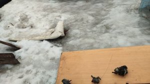 разбор бидонов с ништяками