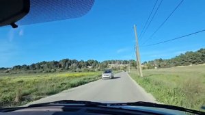 17 марта 2026. После обеда съездили за диким чабрецом. Не забыли и бессмертник , и розмарин...