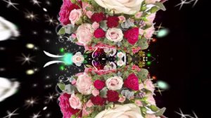 Футажи! Футаж Букеты роз К 4 от Киностудии Мудрого Кота Тимофея!!!